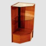 PANTAGON CORNER CASE